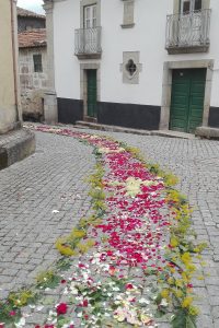 34117266_1527327090712254_9150569716962557952_n