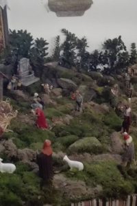 508126476_9788179961293551_8261429841983691813_n