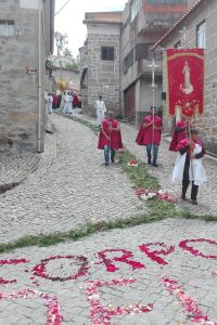 64531061_2063040773807547_3609011527920648192_n